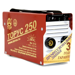 Купить Сварочный инвертор Торус 250 в Данках